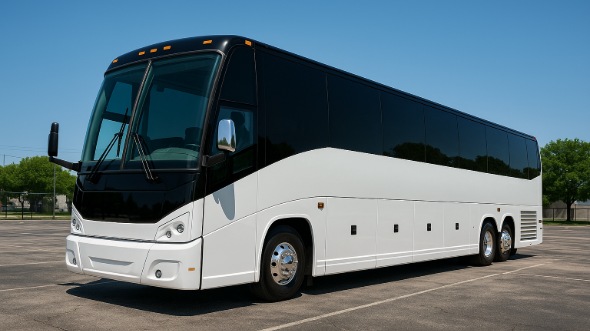 50 passenger party bus